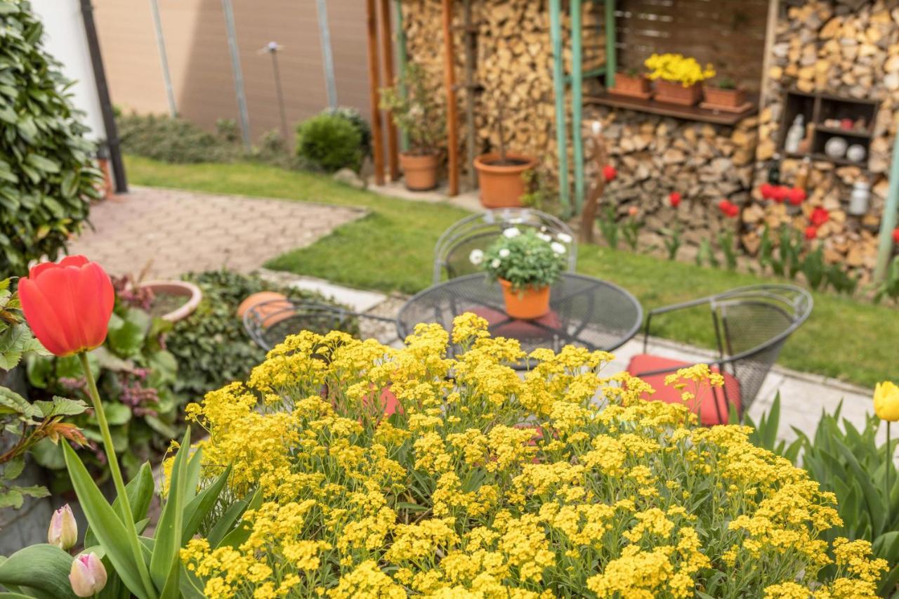 Haus Schneider Apartment Kressbronn am Bodensee Bagian luar foto